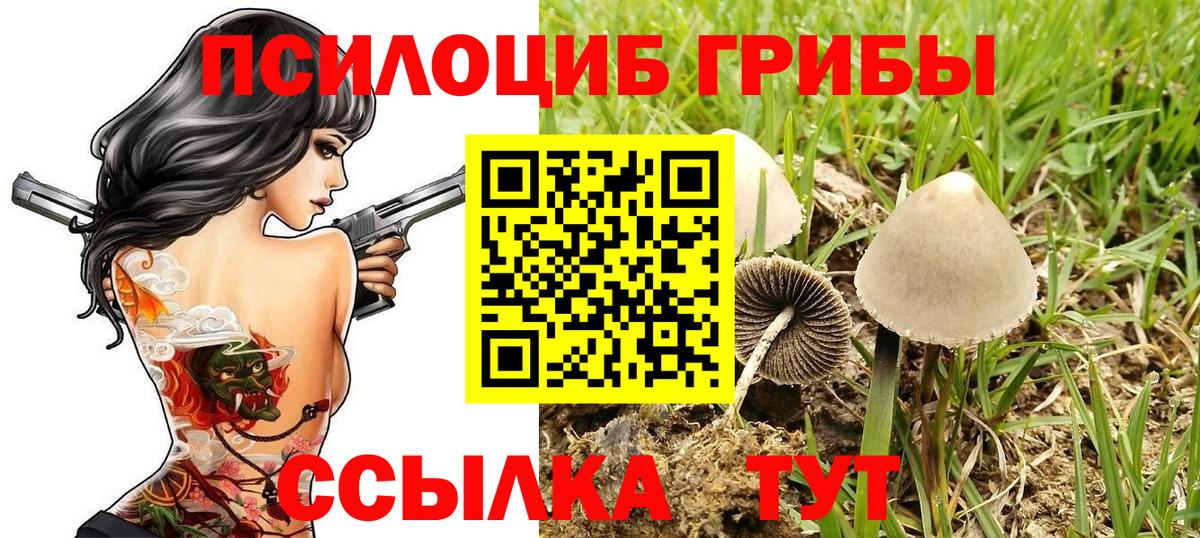 Галлюциногенные грибы Magic Shrooms  Вход с VPN  Славянск-на-Кубани 